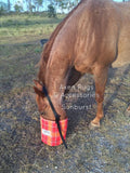 Nose Bags Standard - Axen Rugs horse rugs & Accessories